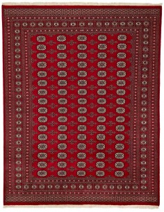 Hand made rug Bukhara fine Pakistan cm.247x314