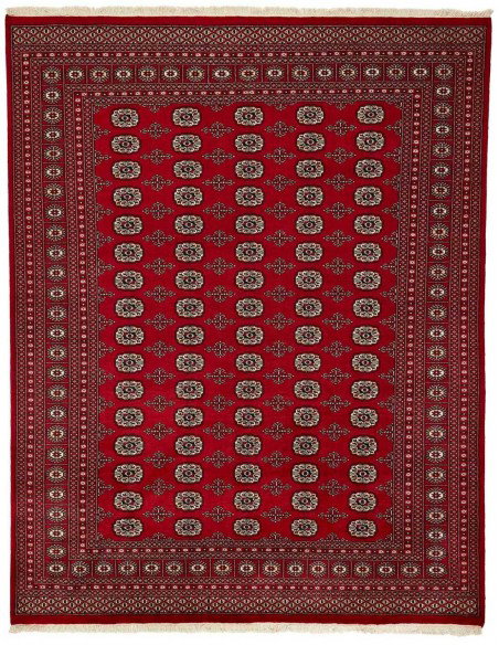 Hand made rug Bukhara fine Pakistan cm.247x314