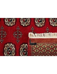 Hand made rug Bukhara fine Pakistan cm.247x314 2