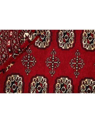 Hand made rug Bukhara fine Pakistan cm.247x314