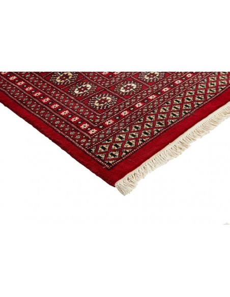 Hand made rug Bukhara fine Pakistan cm.247x314