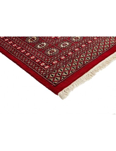Hand made rug Bukhara fine Pakistan cm.247x314