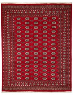Hand made rug Bukhara fine Pakistan cm.248x310