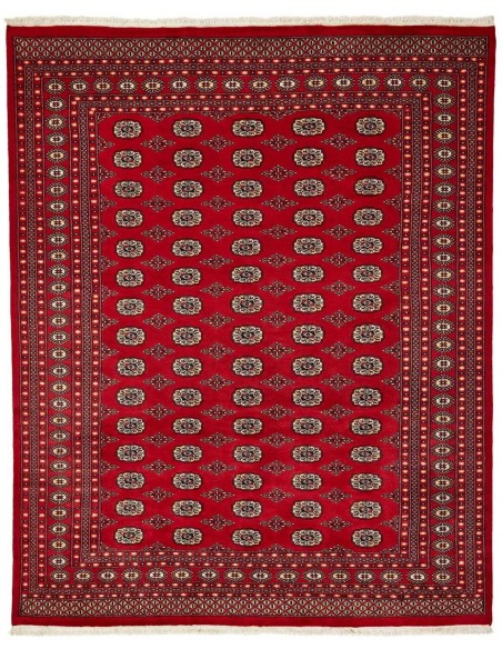 Hand made rug Bukhara fine Pakistan cm.248x310