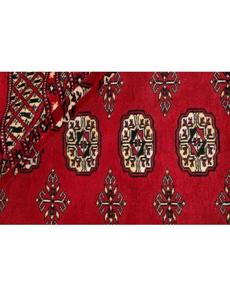Hand made rug Bukhara fine Pakistan cm.248x310