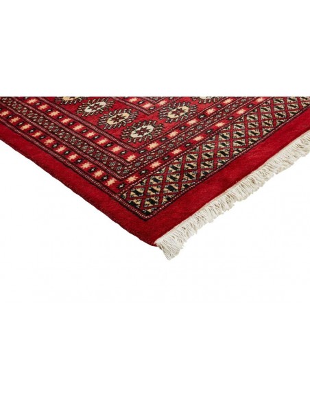 Hand made rug Bukhara fine Pakistan cm.248x310
