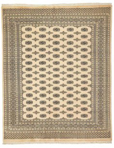 Hand made rug Bukhara fine Pakistan cm.245x303