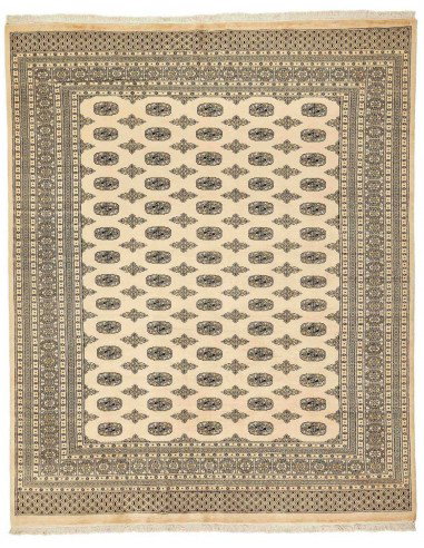 Hand made rug Bukhara fine Pakistan cm.245x303