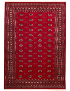 Hand made rug Bukhara fine Pakistan cm.246x346