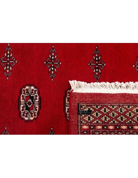 Hand made rug Bukhara fine Pakistan cm.246x346