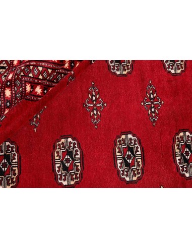 Hand made rug Bukhara fine Pakistan cm.246x346