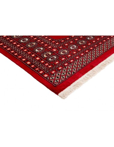 Hand made rug Bukhara fine Pakistan cm.246x346