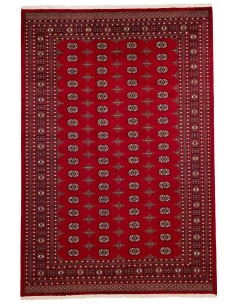 Hand made rug Bukhara fine Pakistan cm.247x334