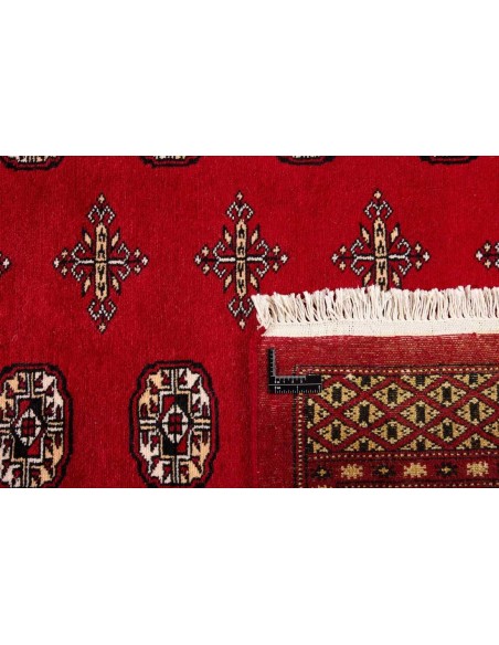 Hand made rug Bukhara fine Pakistan cm.247x334