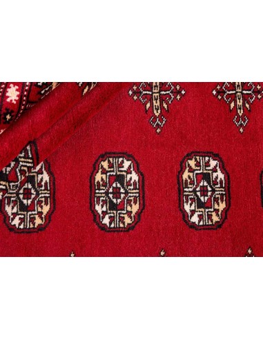 Hand made rug Bukhara fine Pakistan cm.247x334