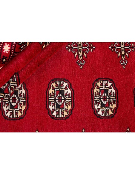 Hand made rug Bukhara fine Pakistan cm.247x334