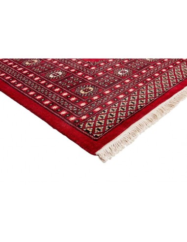 Hand made rug Bukhara fine Pakistan cm.247x334