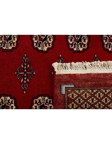 Hand made rug Bukhara fine Pakistan cm.312x400