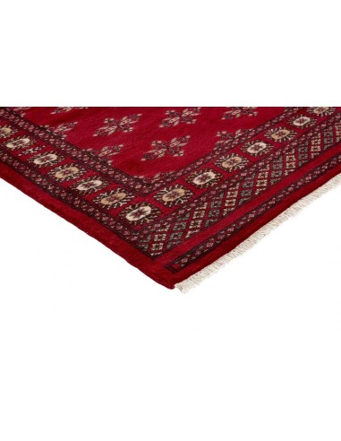 Hand made rug Bukhara extra fine Pakistan cm.94x153