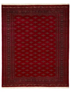 Hand made rug Bukhara extra fine Pakistan cm.247x300