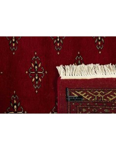Hand made rug Bukhara extra fine Pakistan cm.247x300 2