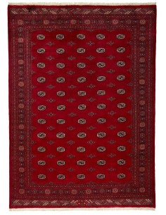Hand made rug Bukhara extra fine Pakistan cm.241x333