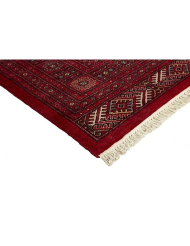 Hand made rug Bukhara extra fine Pakistan cm.241x333