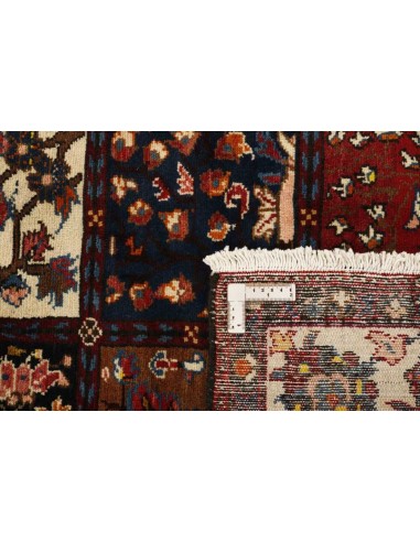 Hand made rug Bakhtiyar Persia cm.174x308