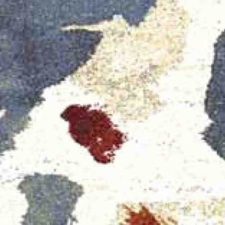 tappeto CAPRI SITAP 32278-6329 fantasia da EUR 53.68