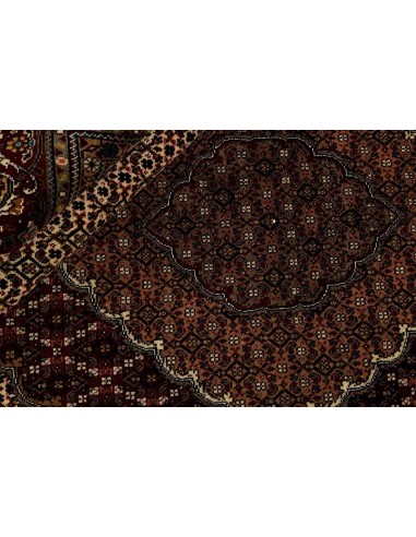 Hand made rug Tabriz 40 Mahi Persia cm.253x304