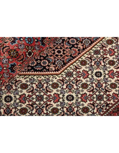 Hand made rug Bidjar Zandjan Persia cm.172x246