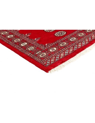Hand made rug Bukhara fine Pakistan cm.94x157