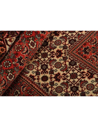 Hand made rug Bidjar Zandjan Persia cm.302x397