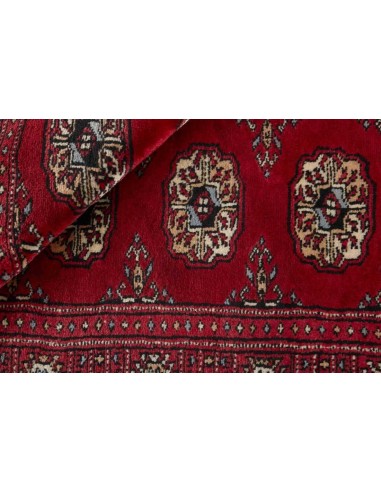 Hand made rug Bukhara extra fine Pakistan cm.93x156