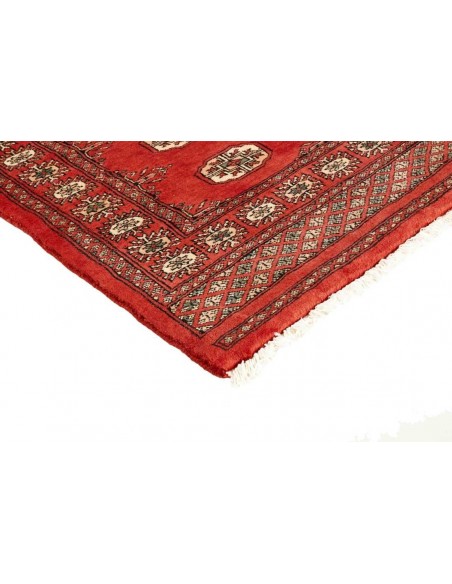 Hand made rug Bukhara extra fine Pakistan cm.95x156