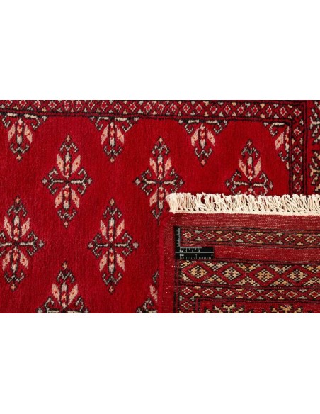 Hand made rug Bukhara extra fine Pakistan cm.81x204