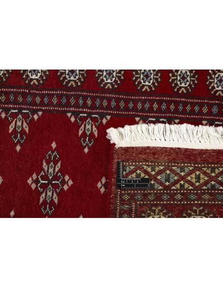 Hand made rug Bukhara fine Pakistan cm.62x187