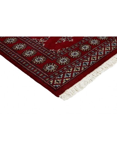 Hand made rug Bukhara fine Pakistan cm.62x187