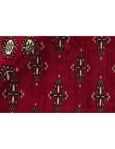 Hand made rug Bukhara fine Pakistan cm.153x229