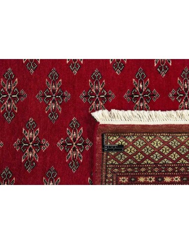 Hand made rug Bukhara fine Pakistan cm.171x254
