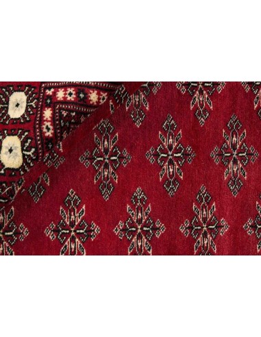 Hand made rug Bukhara fine Pakistan cm.171x254