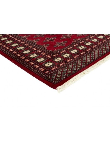 Hand made rug Bukhara fine Pakistan cm.171x254