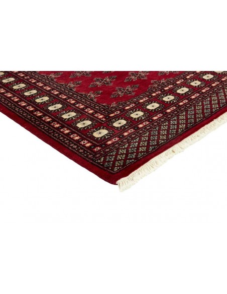 Hand made rug Bukhara fine Pakistan cm.171x254