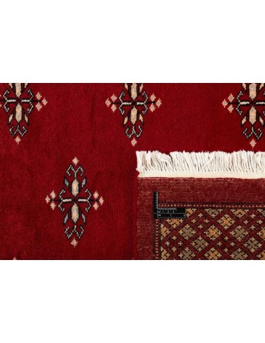 Hand made rug Bukhara fine Pakistan cm.184x281