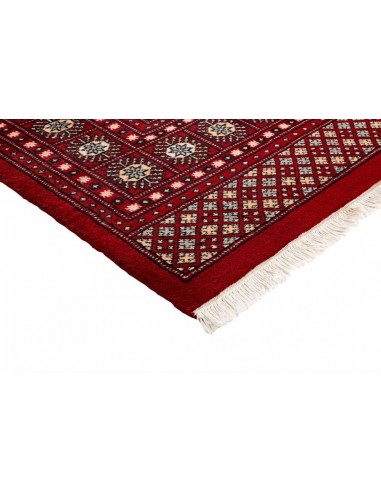 Hand made rug Bukhara fine Pakistan cm.184x281