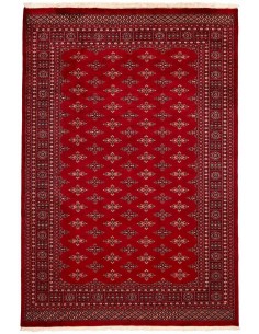 Hand made rug Bukhara fine Pakistan cm.191x281