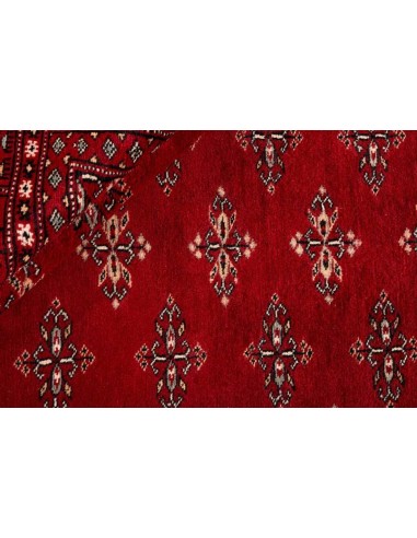 Hand made rug Bukhara fine Pakistan cm.191x281
