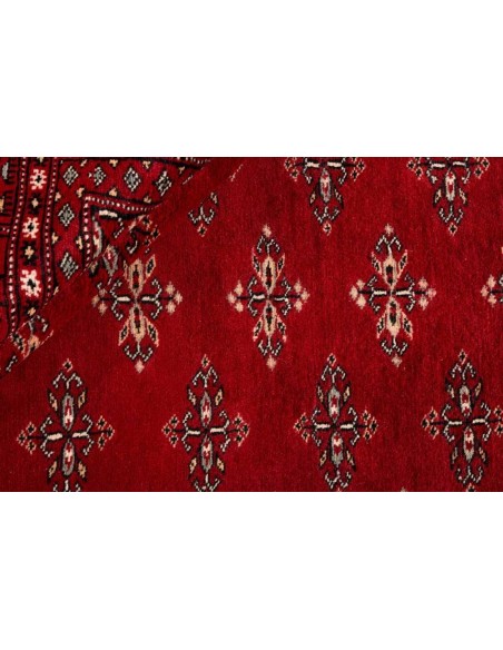 Hand made rug Bukhara fine Pakistan cm.191x281