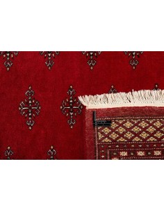 Hand made rug Bukhara fine Pakistan cm.183x294 2