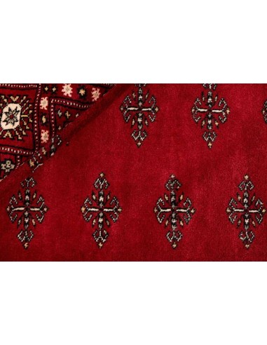 Hand made rug Bukhara fine Pakistan cm.183x294